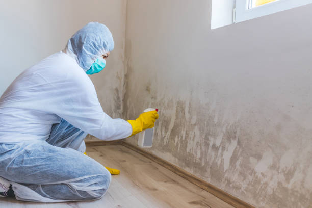 Mold inspector in Allentown performing thermal imaging