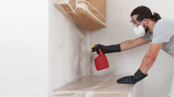 Attic Mold Remediation treatment on roof deck in Allentown
